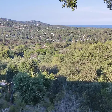 Solenzaia Willa Grimaud