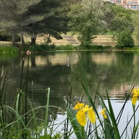 Solenzaia グリモー