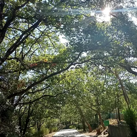 Solenzaia וילה *
