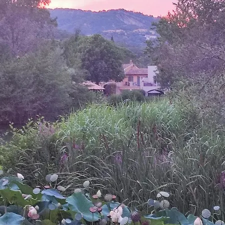 Solenzaia Grimaud