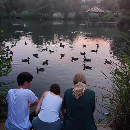 Solenzaia * 그리모