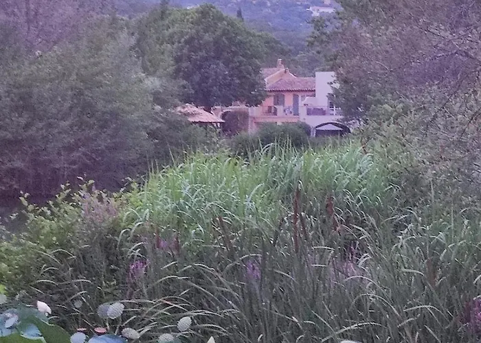 Solenzaïa Grimaud